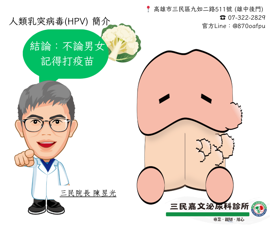 無痛舒眠結紮、包皮、菜花手術【九如三民分院】的第3張圖片